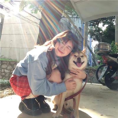 内战圣伯纳犬